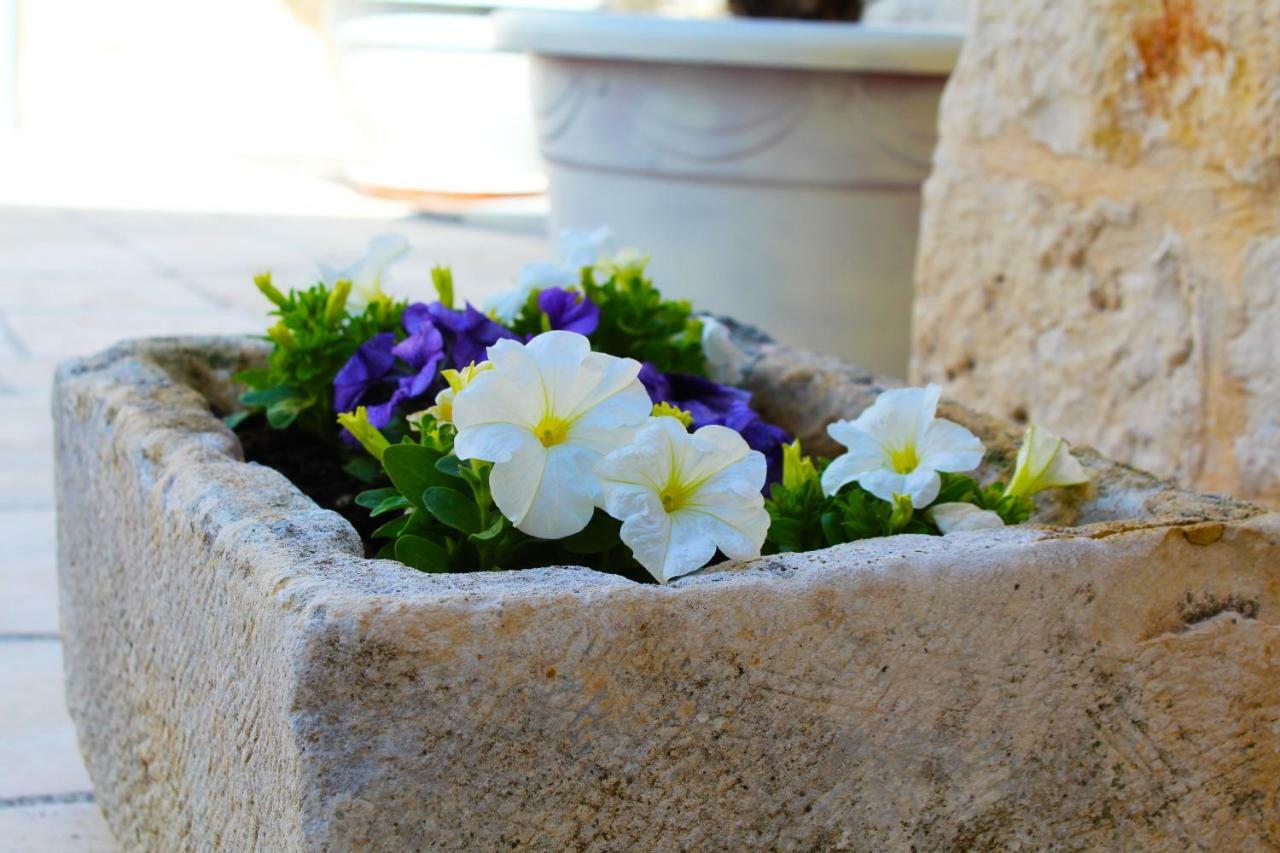 Bed and Breakfast Trulli Antica Fonte Альберобелло Экстерьер фото